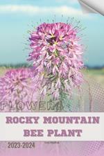 Rocky Mountain Bee Plant: Become flowers expert