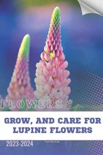 Grow, and Care For Lupine Flowers: Become flowers expert