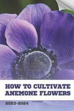 How to Cultivate Anemone Flowers: Become flowers expert