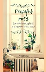Peaceful Pots: Low Maintenance Plants to Bring Peace to Your Space