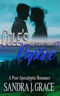 Cole's Captive: A Post-Apocalyptic Christian Romance - Sandra J Grace - cover