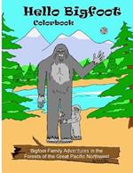 Hello Bigfoot Colorbook: What do Bigfoot families do after dark? They play with our toys.
