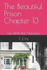 The Beautiful Prison Chapter 13: Life With the Narcissist