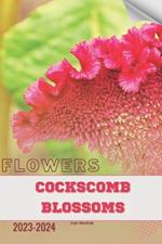 Cockscomb Blossoms: Become flowers expert