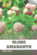 Globe Amaranth: Become flowers expert