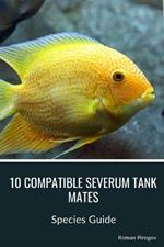 10 Compatible Severum Tank Mates: Species Guide