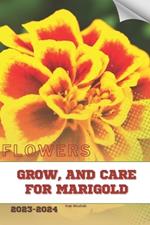 Grow, and Care For Marigold: Become flowers expert