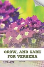 Grow, and Care for Verbena: Become flowers expert