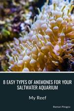 8 Easy Types of Anemones for Your Saltwater Aquarium: My Reef