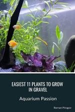 Easiest 11 Plants to Grow in Gravel: Aquarium Passion