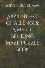 Labyrinth of Challenges: A Mind-Bending Maze Puzzle Book