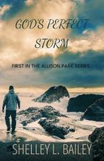 God's Perfect Storm: Book 1 of the Allison Park Series