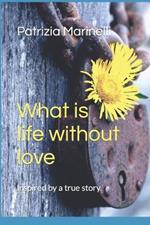 What is life without love