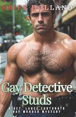 Gay Detective Studs