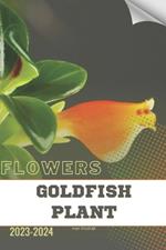 Goldfish Plant: Become flowers expert