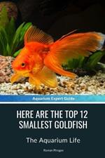 Here Are The Top 12 Smallest Goldfish: The Aquarium Life