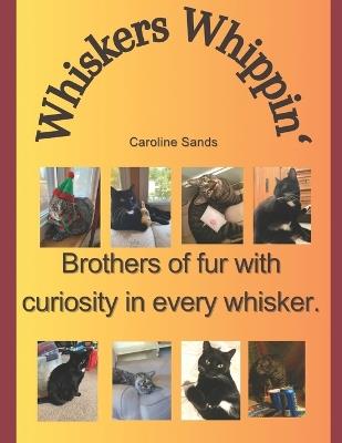 Whiskers Whippin': Basket Cats of Cuteness - Caroline Sands - cover