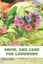 Grow, and Care For Lungwort: Become flowers expert