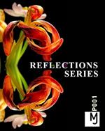Reflections + Series by Joachim Mantel: MANTELfotografie Joachim Mantel