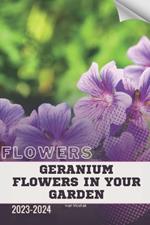 Geranium Flowers in Your Garden: Become flowers expert