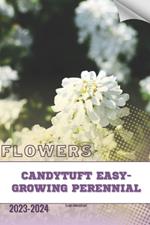 Candytuft Easy-Growing Perennial: Become flowers expert