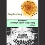 Fundamentals: Schrödinger’s Equation to Deep Learning