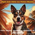 Mejor Guía Sobre Los Perros Mestizo