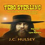 Tebo Sterling - The Texas Bounty Hunter Series