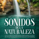 Sonidos de la naturaleza: calma tu cuerpo con tranquilizadores sonidos de bosque y la cascada zen para la relajación, sueño profundo, meditación, concentración y yoga. Alcanza niveles más profundos de conciencia y vive tu mejor vida