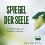 Spiegel der Seele