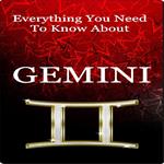 Everything You Need to Know About Gemini