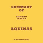 Summary of Edward Feser's Aquinas