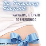 Pregnancy Blueprint, The