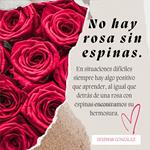 No hay rosa sin espinas