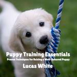 Puppy Training Essentials