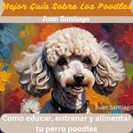 Mejor Guía Sobre Los Poodles