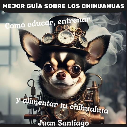 Mejor Guía Sobre Los Chihuahuas