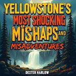 Yellowstone's Most Shocking Mishaps and Misadventures