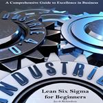 Lean Six Sigma for Beginners