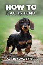 How to Dachshund: A Tail-Wagging Guide to Care, Training and Grooming Bliss