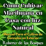 Cómo Cultivar Marihuana en Casa con luz Natural