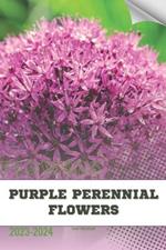 Purple Perennial Flowers: Become flowers expert