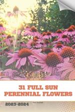 31 Full Sun Perennial Flowers: Become flowers expert