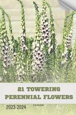 21 Towering Perennial Flowers: Become flowers expert