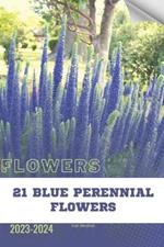 21 Blue Perennial Flowers: Become flowers expert