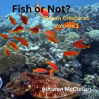 Fish or Not?: Ocean Creatures Volume 1 - Autumn McClellan - cover