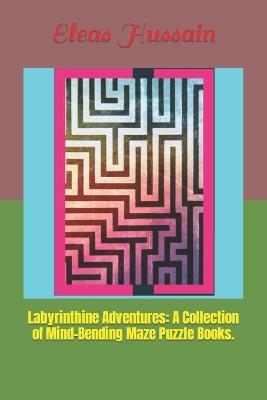 Labyrinthine Adventures: A Collection of Mind-Bending Maze Puzzle Books. - Eleas Hussain - cover