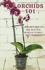 Orchids 101: Your quick guide to grow beautiful orchids with simple care techniques