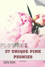 37 Unique Pink Peonies: Become flowers expert