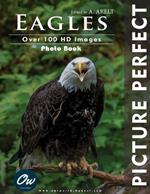 Eagles: Picture Perfect: Photo Book